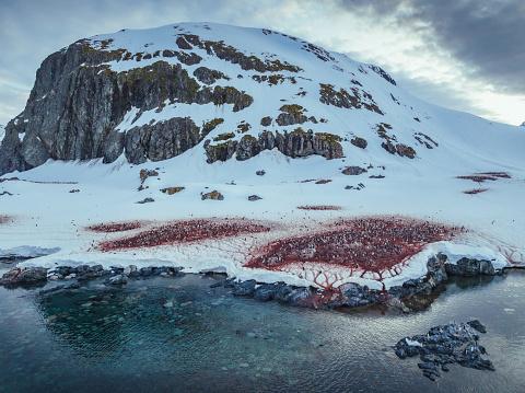 24 de locuri de pe Pământ care nu par reale: munți curcubeu, lacuri roz și peisaje extraterestre 967027