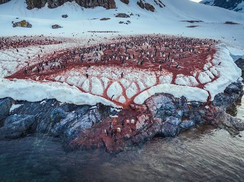 24 de locuri de pe Pământ care nu par reale: munți curcubeu, lacuri roz și peisaje extraterestre 967028