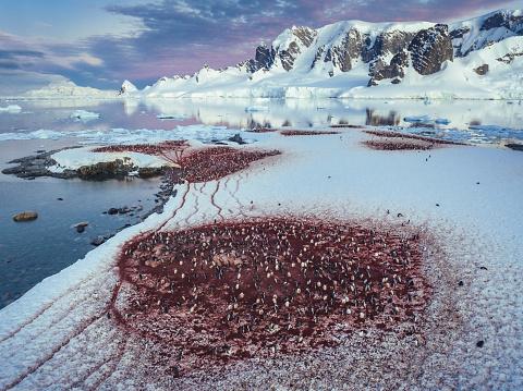 24 de locuri de pe Pământ care nu par reale: munți curcubeu, lacuri roz și peisaje extraterestre 967029