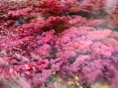 24 de locuri de pe Pământ care nu par reale: munți curcubeu, lacuri roz și peisaje extraterestre 967037