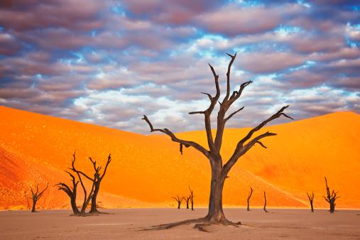 24 de locuri de pe Pământ care nu par reale: munți curcubeu, lacuri roz și peisaje extraterestre 967060