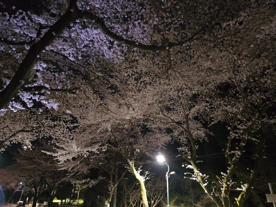 Jeju: insula unde viitorul e verde, trecutul doare, iar femeile își pot ține respirația sub apă minute în șir 967906