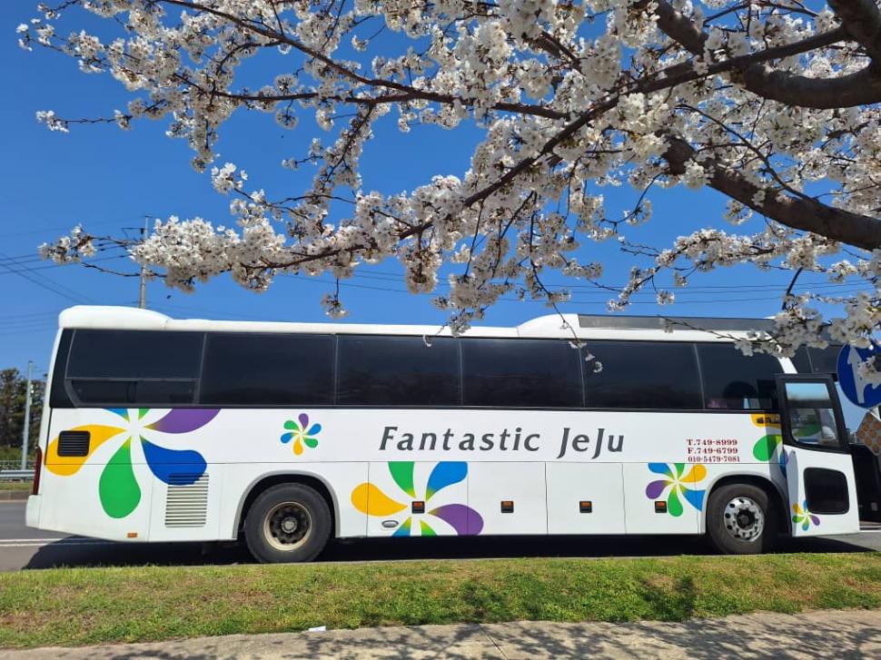 Jeju: insula unde viitorul e verde, trecutul doare, iar femeile își pot ține respirația sub apă minute în șir 967907