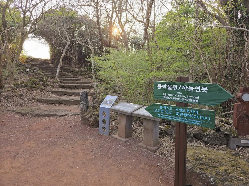 Jeju: insula unde viitorul e verde, trecutul doare, iar femeile își pot ține respirația sub apă minute în șir 967920