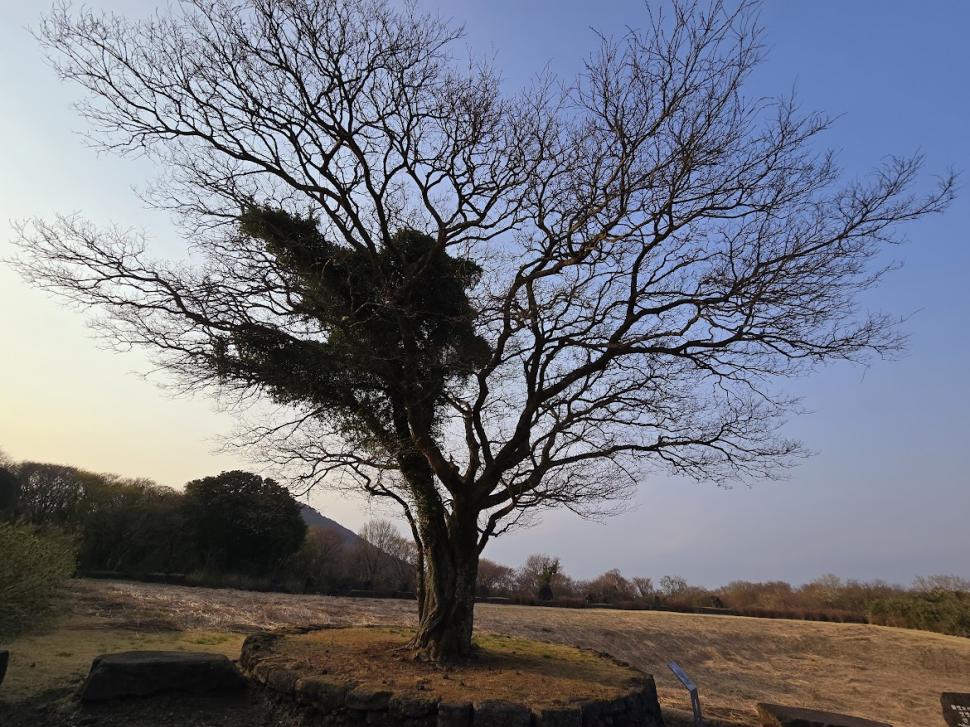 Jeju: insula unde viitorul e verde, trecutul doare, iar femeile își pot ține respirația sub apă minute în șir 967922