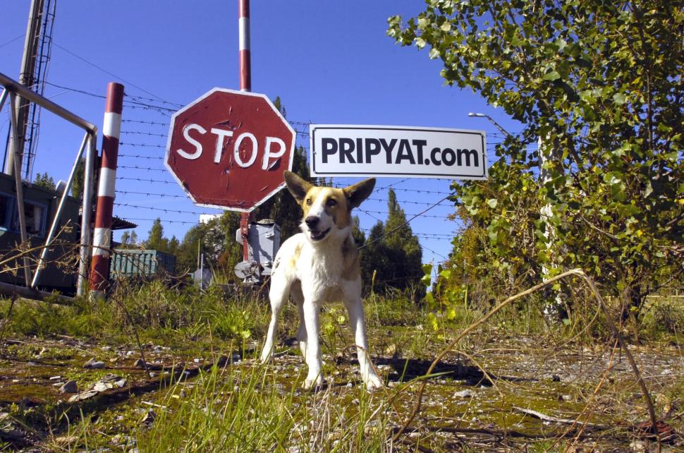 Cum arată azi centrala Cernobîl și zona de excludere. 39 de ani de la dezastrul nuclear 965518