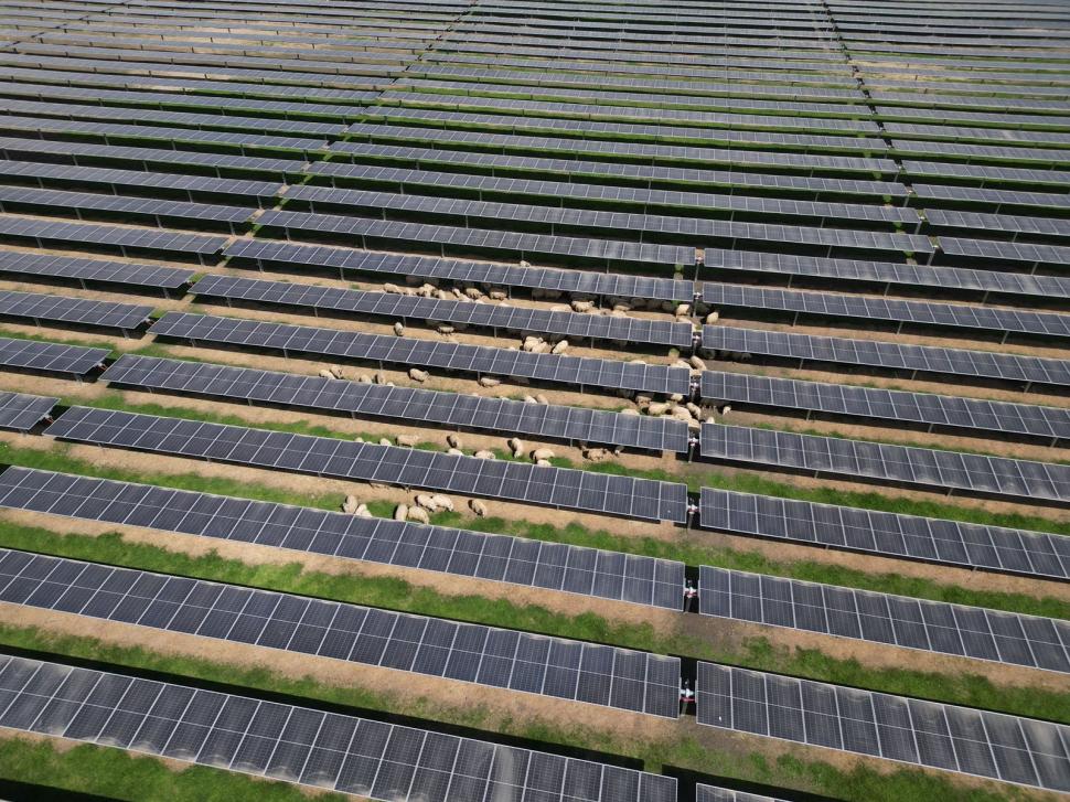 A fost finalizat cel mai mare parc fotovoltaic finanţat prin PNRR de Ministerul Energiei. Cum arată proiectul de 55 de milioane de euro 968697