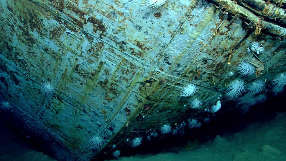 Descoperire senzațională făcută pe fundul mării, într-un vas scufundat în 1942 968594