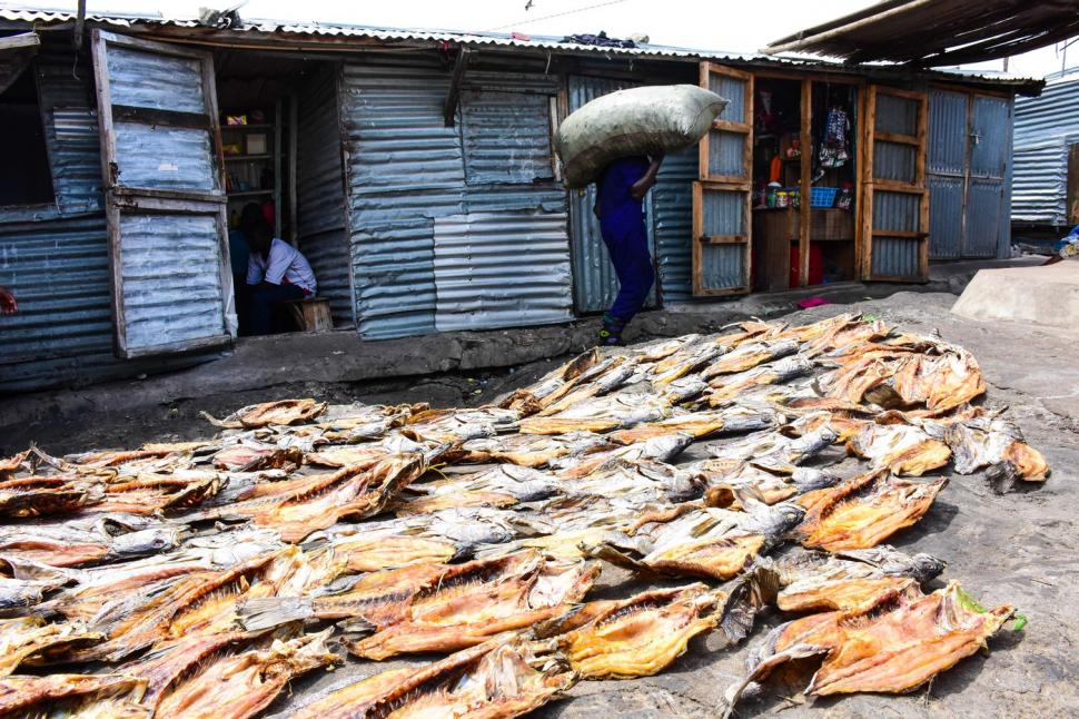 Insula cât un teren de fotbal pe care 150 de oameni își au casele. Are baruri, hoteluri și seamănă cu o țestoasă de tablă 968814