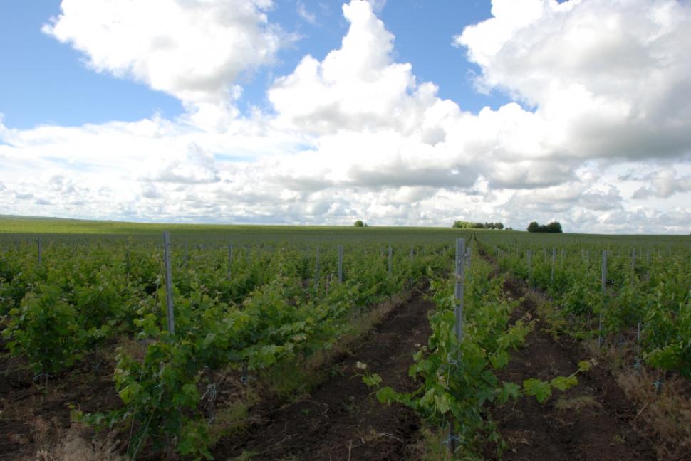 Obiective turistice în județul Constanța. Locuri de vizitat în drum spre mare 966347