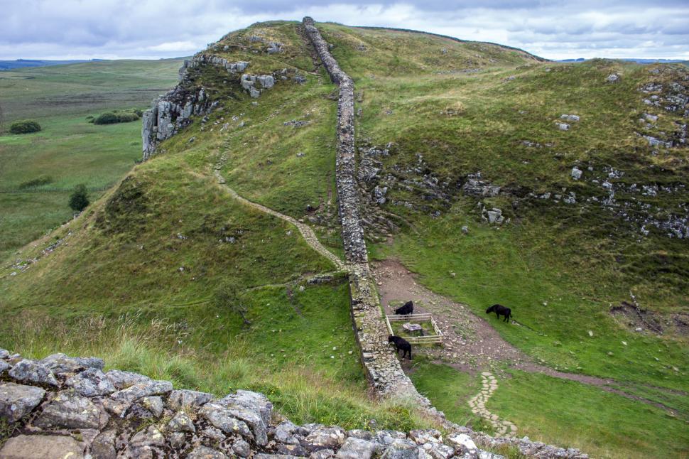 Filmarea în care este tăiat "copacul lui Robin Hood", prezentată în instanţă. Ce a apărut pe trunchiul arţarului vechi de două secole 968940