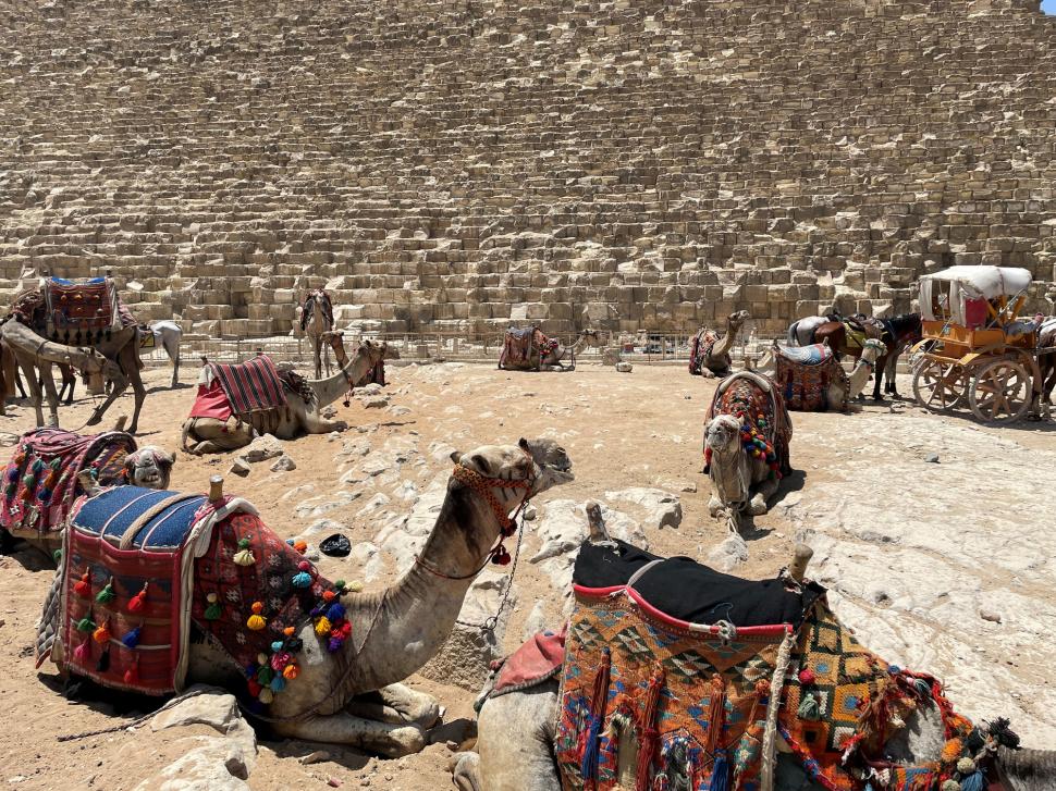 Egiptul vrea să schimbe regulile pentru vizitarea piramidelor și pentru asta are un proiect de 45 de milioane de euro 968289