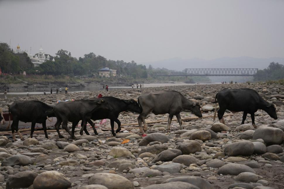 Războiul apei între două puteri nucleare. Debitul unui râu a fost modificat pentru a lăsa fără apă țara vecină 970430