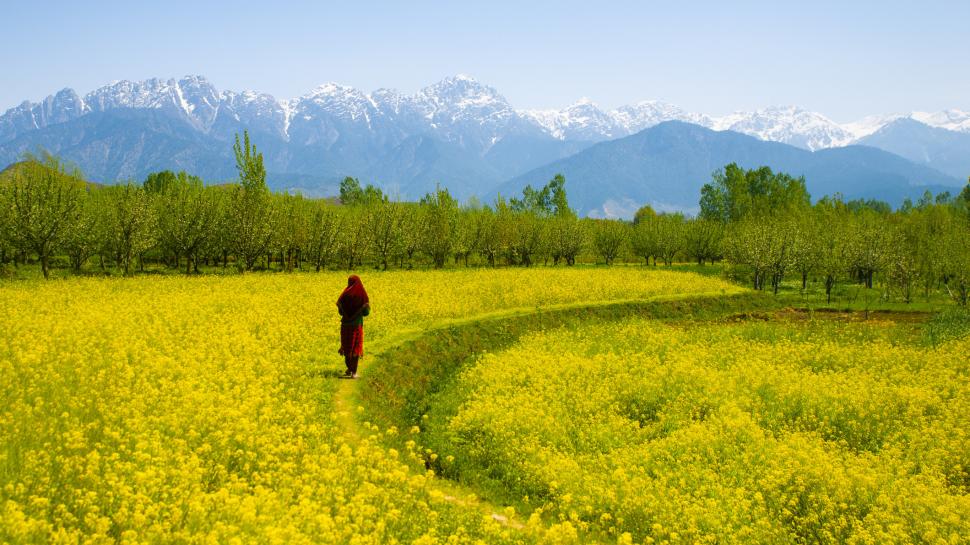 De ce se luptă India și Pakistan pentru Kashmir și cât de vechi este conflictul 970633