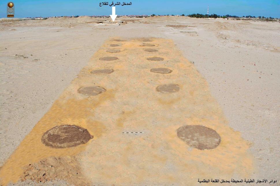 Descoperire arheologică inedită în deșertul Sinai: Au fost găsite cercuri bizare de copaci care duc la o fortăreață din Egiptul Antic 970558