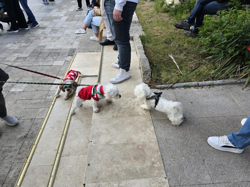 Fără huiduieli și fără frică. România care vrea să rămână în Europa a ieșit în stradă 971489