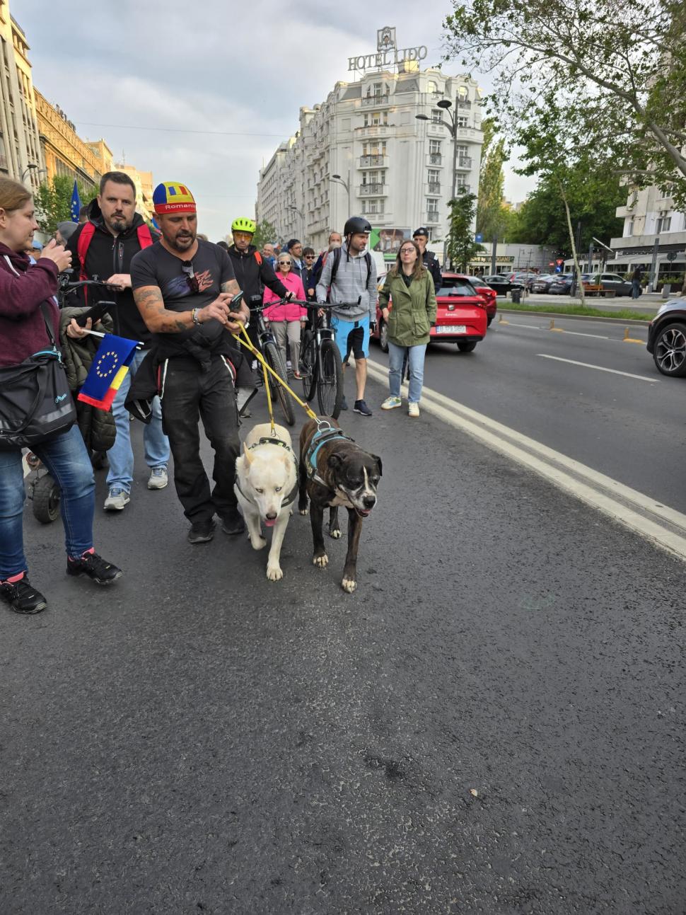 Fără huiduieli și fără frică. România care vrea să rămână în Europa a ieșit în stradă 971496