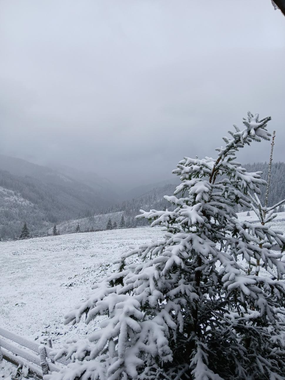 Imagini cu ninsorile din zona Moldovei: "Frumos peisaj! Zăpadă de 9 mai la munte" 971257