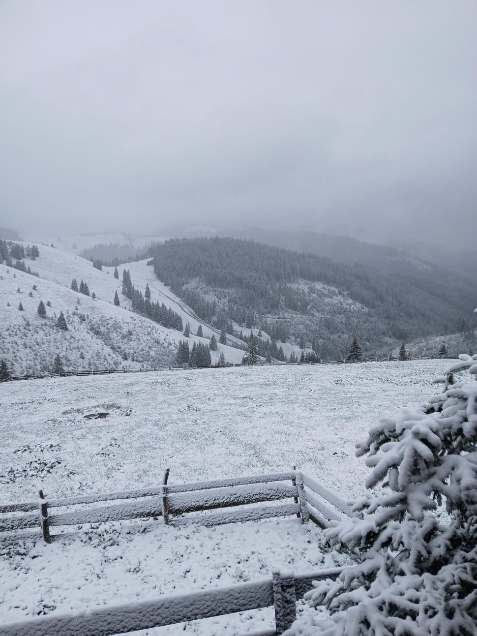 Imagini cu ninsorile din zona Moldovei: "Frumos peisaj! Zăpadă de 9 mai la munte" 971259