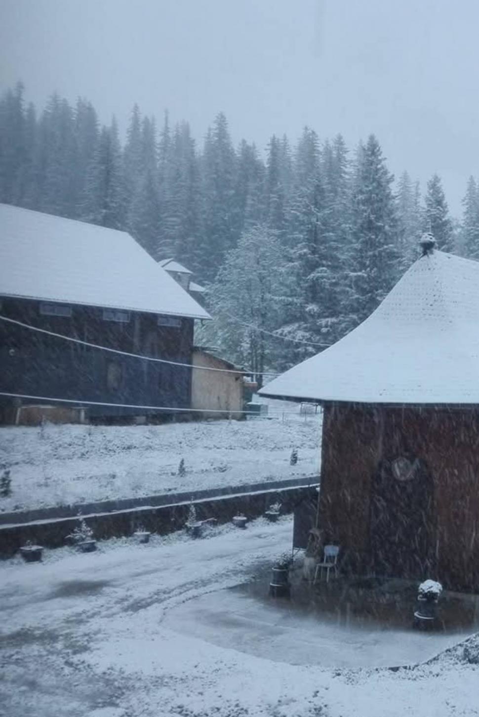 Imagini cu ninsorile din zona Moldovei: "Frumos peisaj! Zăpadă de 9 mai la munte" 971460