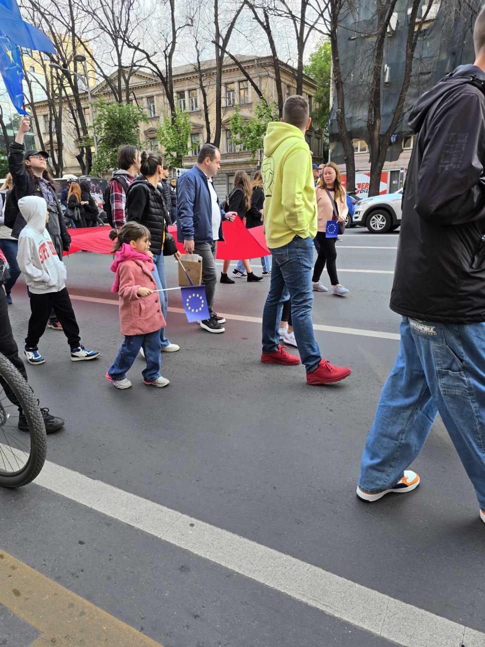 „Un singur drum: Europa!”. Mitinguri pro-UE în București și în mai multe orașe din țară 971436