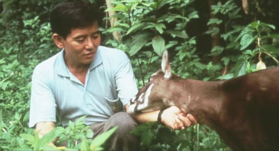 "Am fost foarte surprinși". Descoperiri ştiinţifice despre unicornul asiatic, animalul misterios văzut ultima dată în urmă cu 12 ani 971521