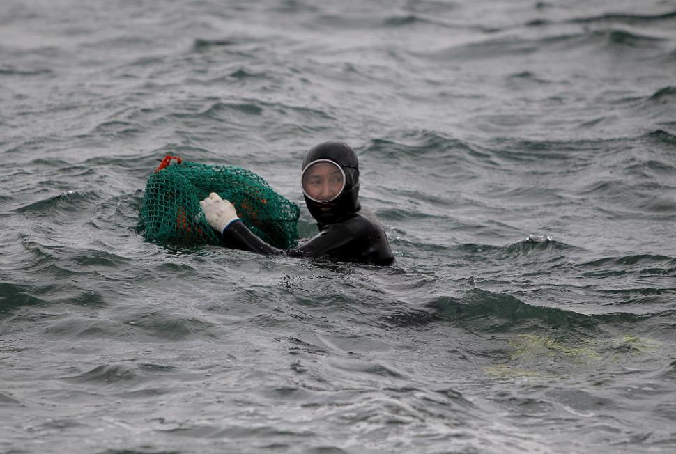 Femeile care respiră din instinct: scufundătoarele Haenyeo din Jeju și misterul scris în ADN-ul lor 970838