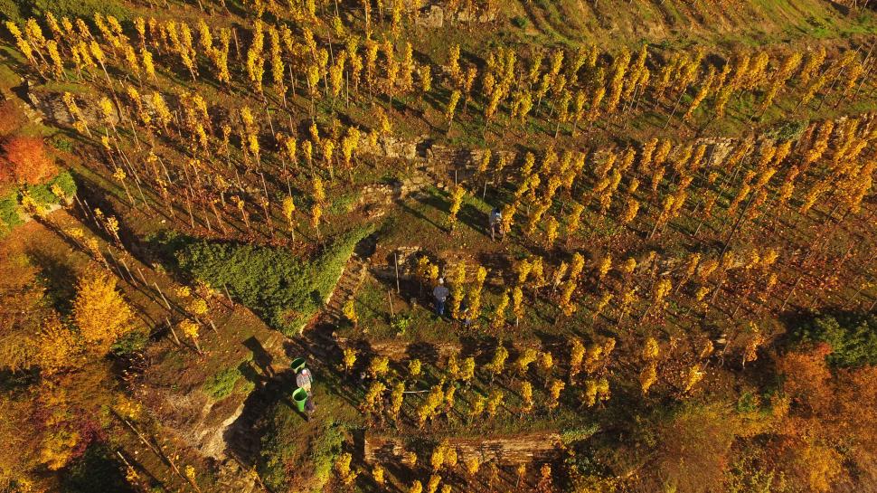 Un bărbat a traversat o țară întreagă cu autobuzul fără să scoată niciun ban din buzunar, apoi a povestit interesanta experiență 970743