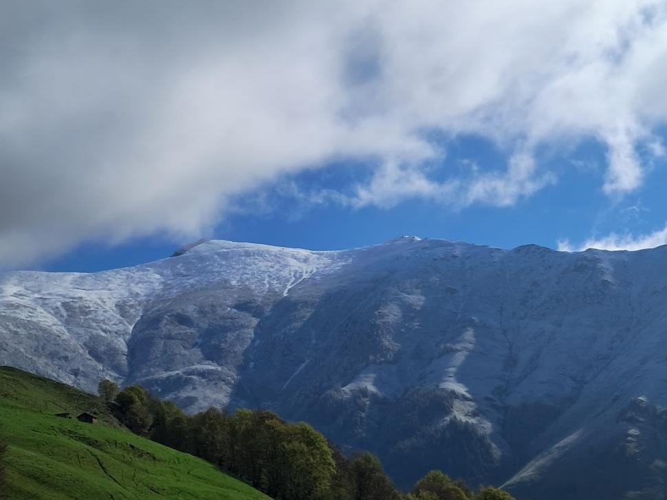 Poiana cu narcise din Munții Rodnei a fost acoperită cu un strat de zăpadă de 20 de centimetri 971821