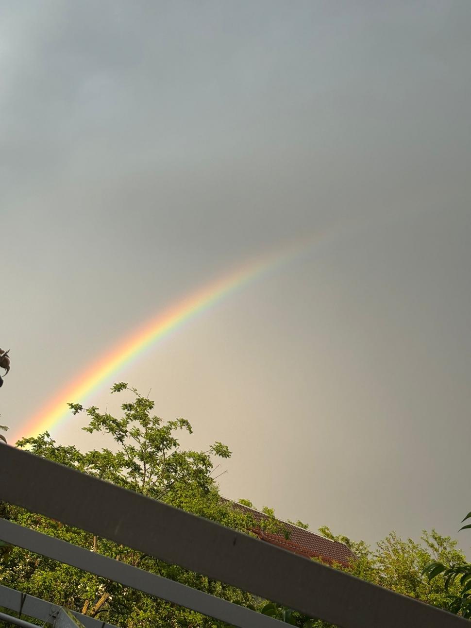 Victoria care n-a fost. Reportaj la ușa după care s-a ascuns Simion, când a pierdut alegerile pe care doar el crede că le-a câștigat 973646