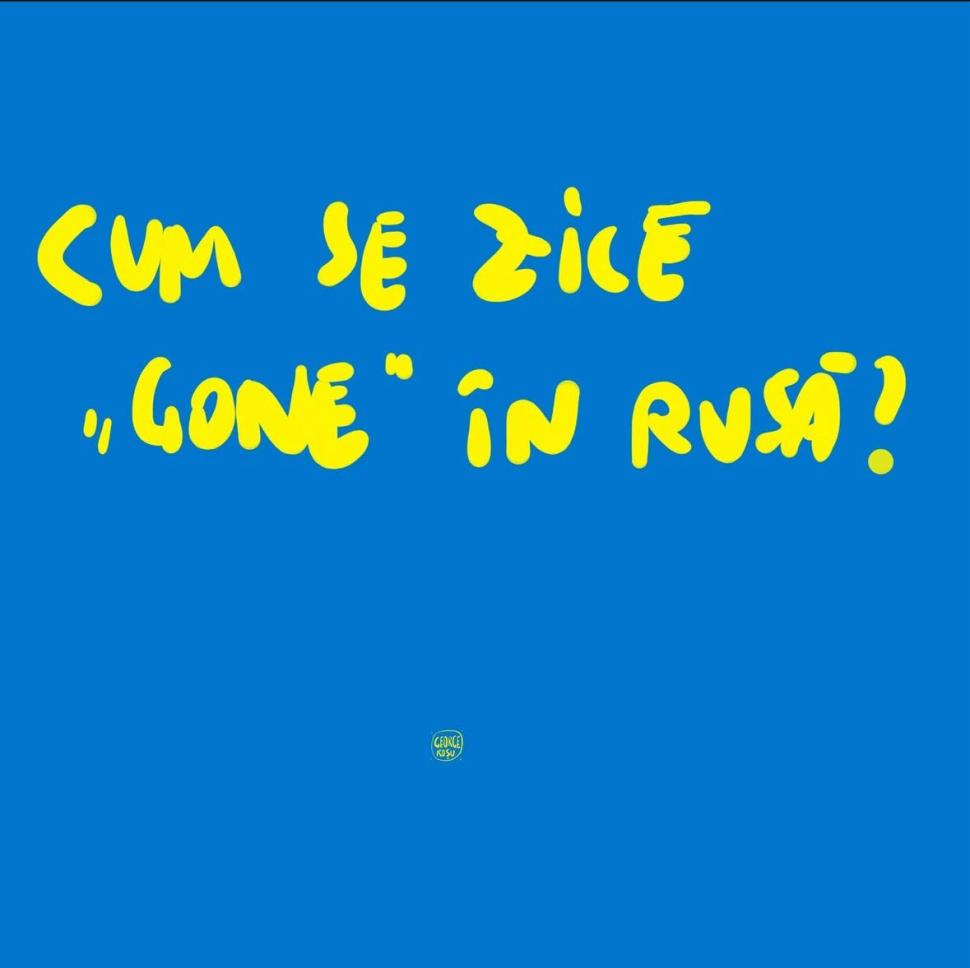 Festival de meme cu Simion și Gavrilă după înfrângerea la prezidențiale: "Iț gon" 973851