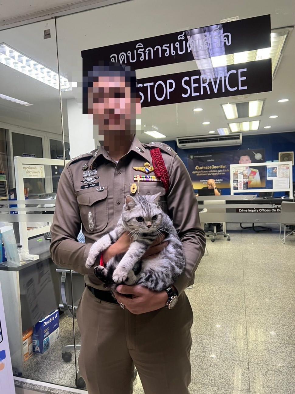 O pisică simpatică a ajuns să fie arestată și amprentată pentru că a fugit de acasă și a vrut să-i muște pe polițiștii care au găsit-o 974672