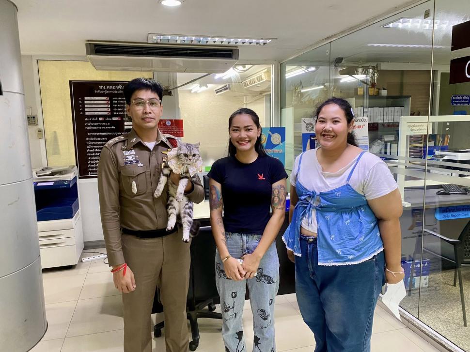 O pisică simpatică a ajuns să fie arestată și amprentată pentru că a fugit de acasă și a vrut să-i muște pe polițiștii care au găsit-o 974682