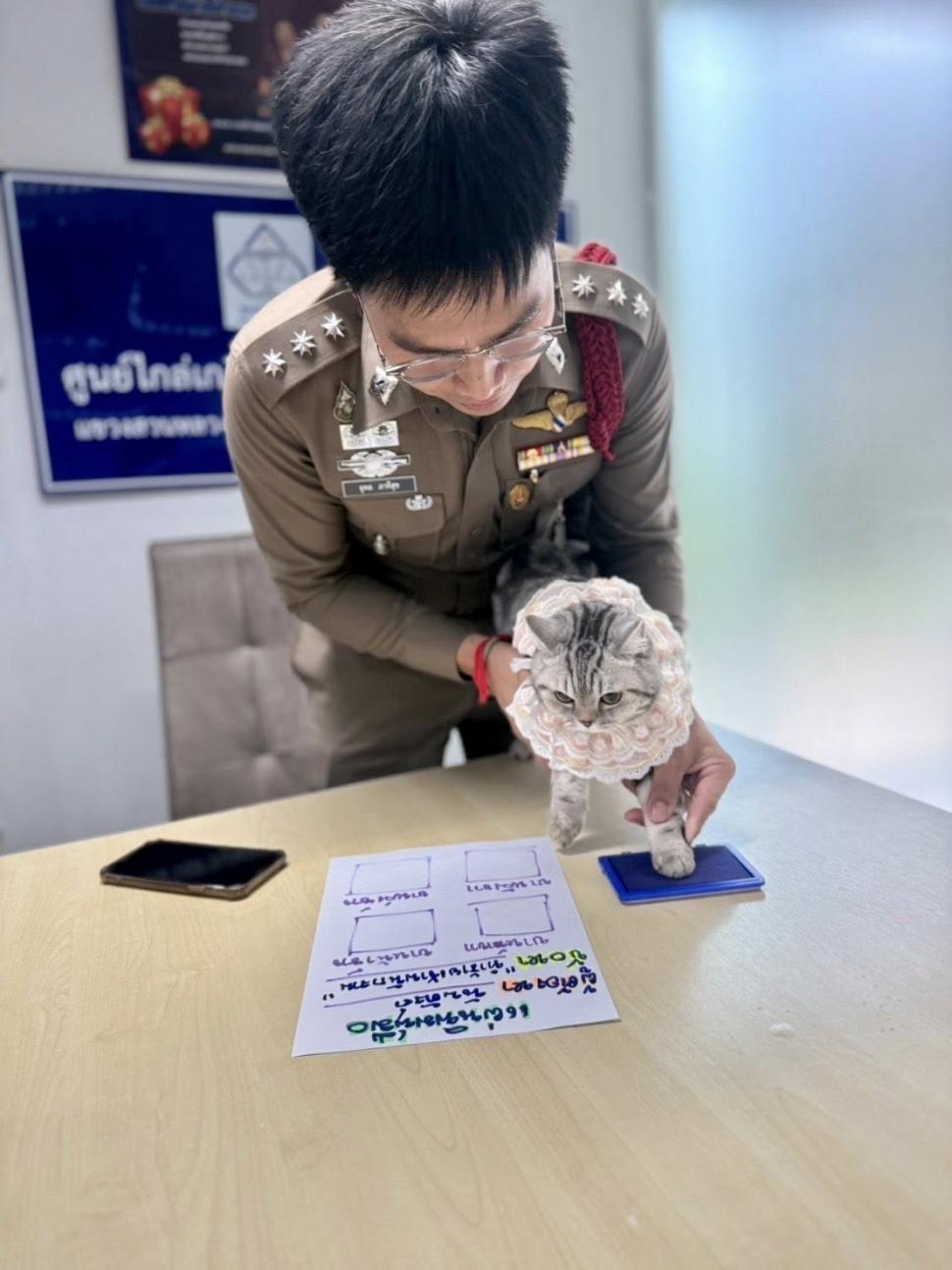 O pisică simpatică a ajuns să fie arestată și amprentată pentru că a fugit de acasă și a vrut să-i muște pe polițiștii care au găsit-o 974684