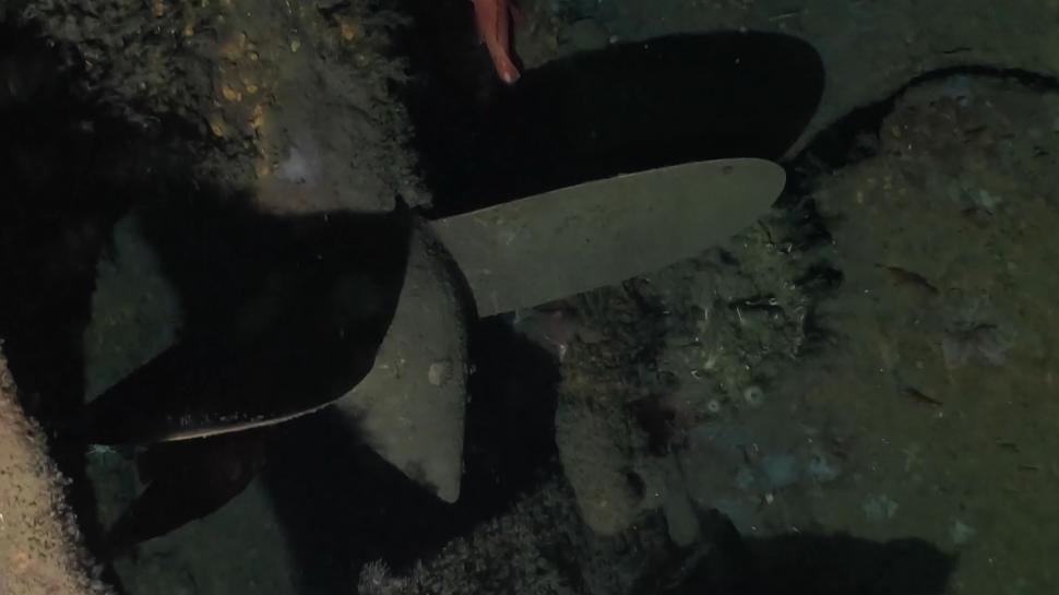 Un submarin american pierdut acum 100 de ani a fost găsit "remarcabil de intact" lângă San Diego 975172
