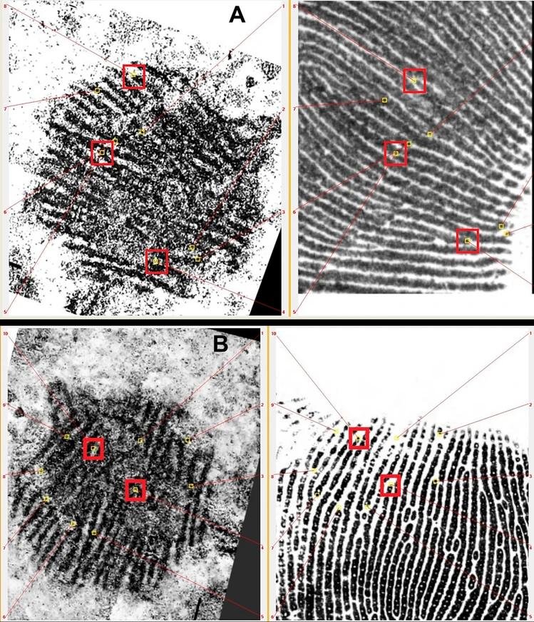 Cea mai veche amprentă din lume ar putea fi un indiciu că neanderthalienii au creat arta 975846