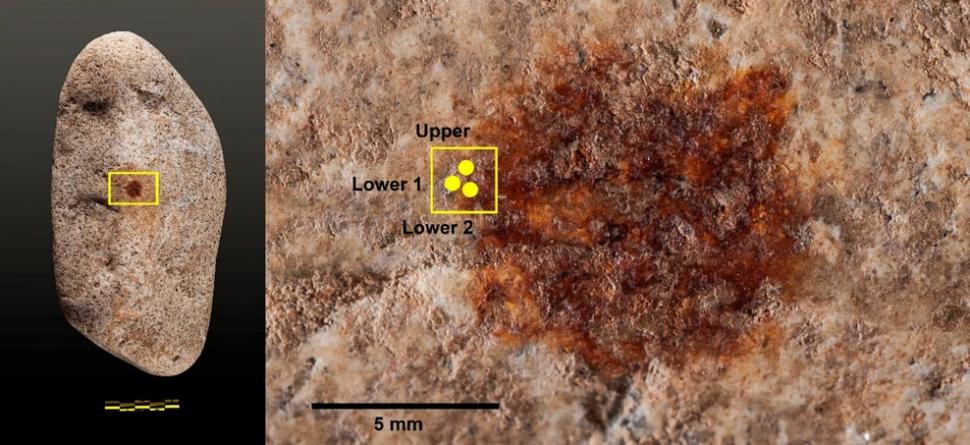 Cea mai veche amprentă din lume ar putea fi un indiciu că neanderthalienii au creat arta 975848