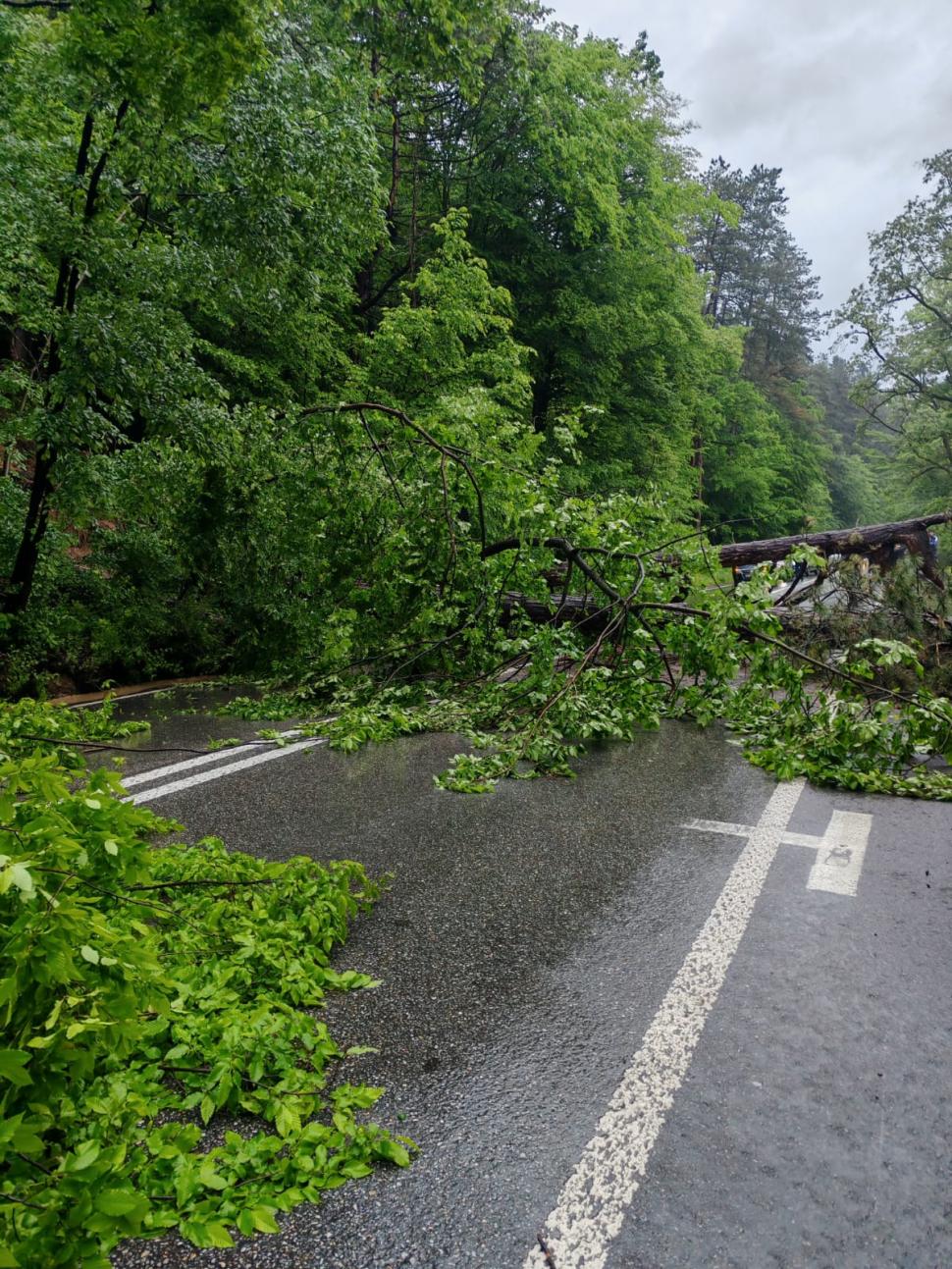 Cod roșu de inundații în trei județe. Un podeț s-a surpat. Au fost emise mesaje RO-Alert, zeci de oameni au fost evacuați 975589