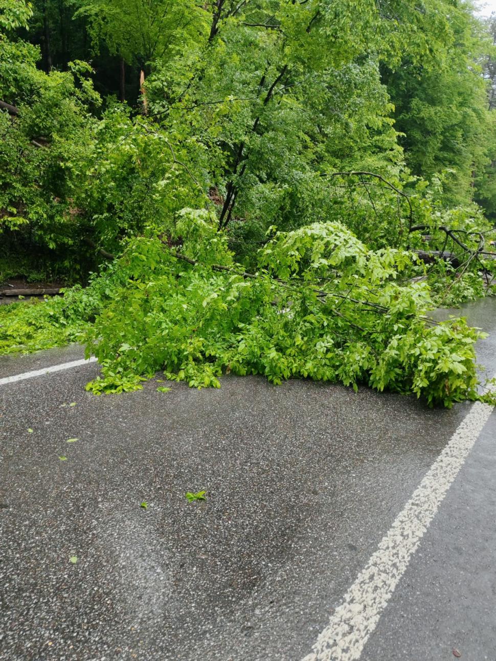 Cod roșu de inundații în trei județe. Un podeț s-a surpat. Au fost emise mesaje RO-Alert, zeci de oameni au fost evacuați 975590