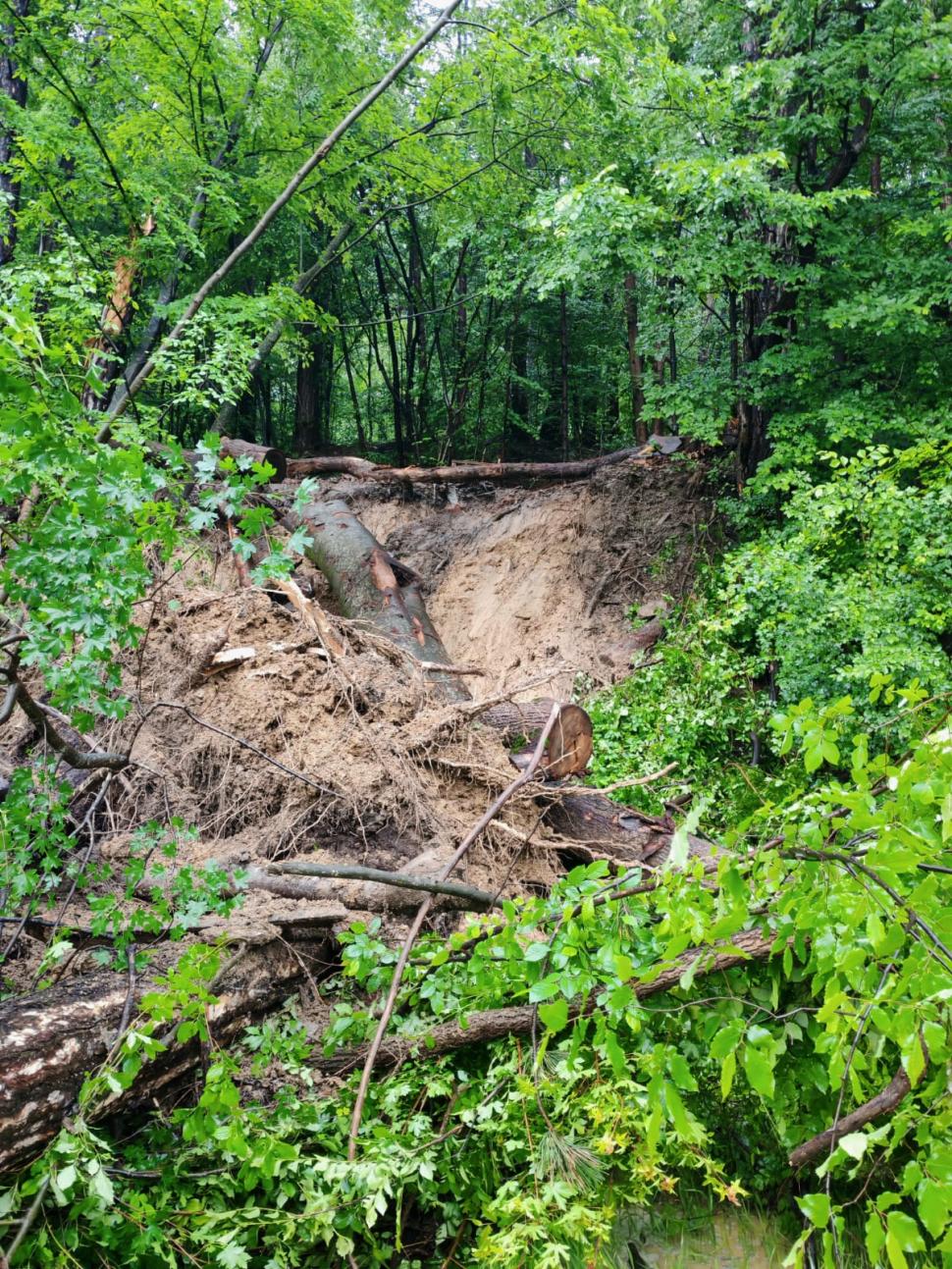 Cod roșu de inundații în trei județe. Un podeț s-a surpat. Au fost emise mesaje RO-Alert, zeci de oameni au fost evacuați 975591