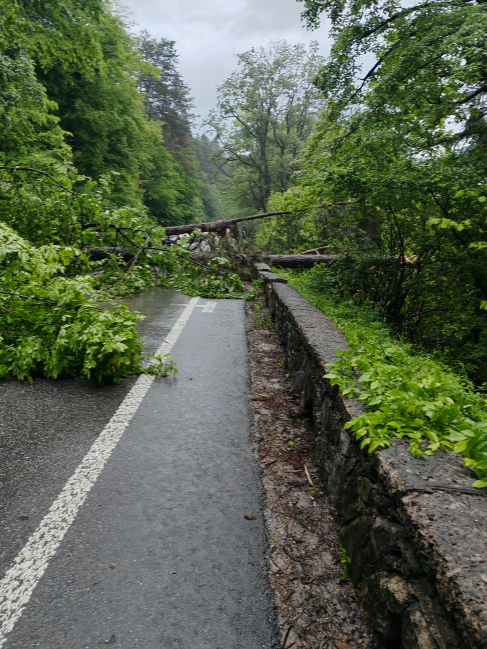Cod roșu de inundații în trei județe. Un podeț s-a surpat. Au fost emise mesaje RO-Alert, zeci de oameni au fost evacuați 975592