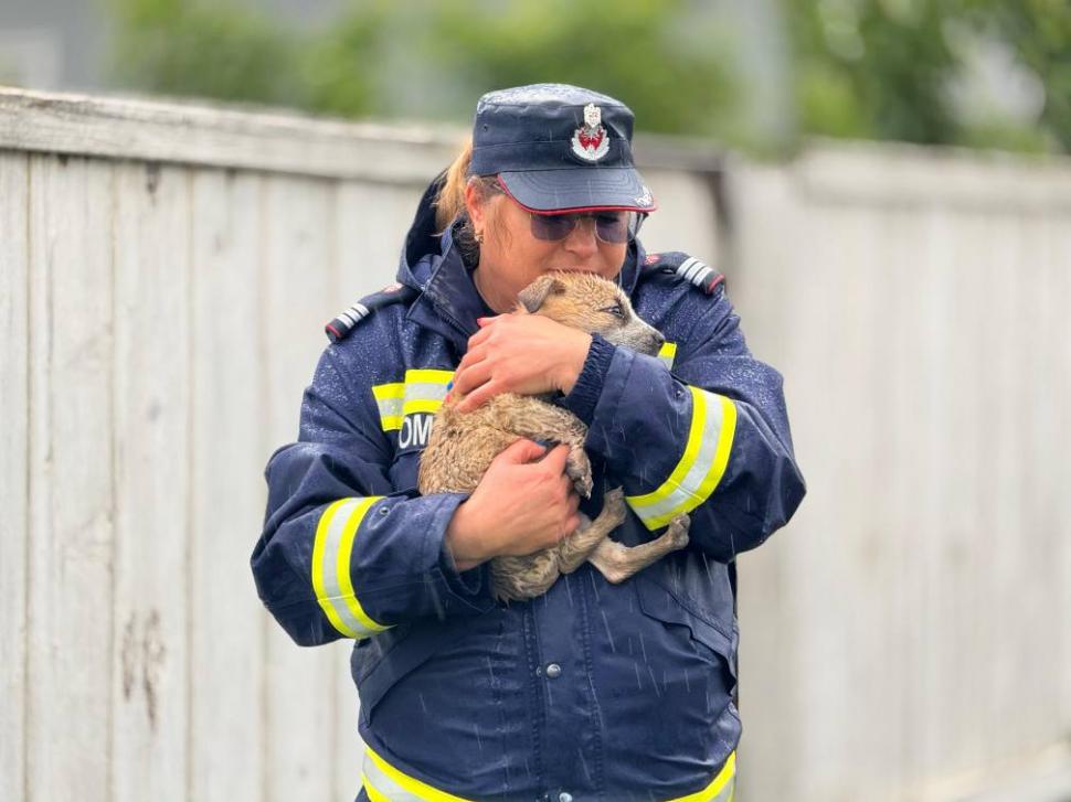 Cele mai impresionante imagini de la intervenția pompierilor pentru salvarea oamenilor și animalelor din calea apelor 976008