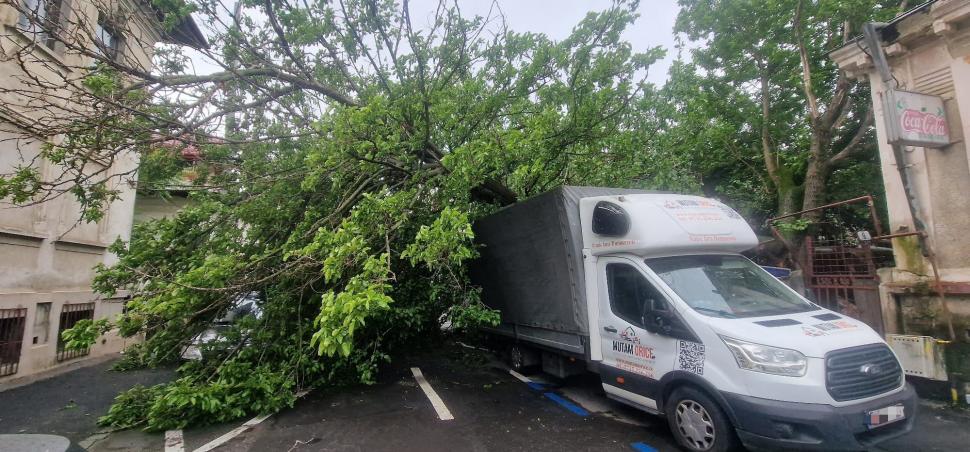 Haos în centrul Bucureștiului: Un copac a căzut pe o stradă din Sectorul 1. Patru mașini și o conductă de gaze, avariate 976035