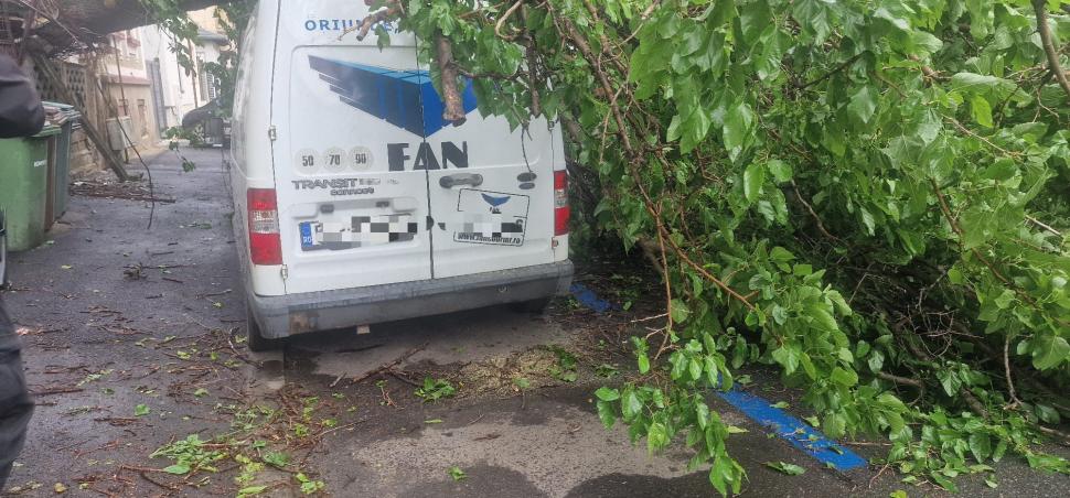 Haos în centrul Bucureștiului: Un copac a căzut pe o stradă din Sectorul 1. Patru mașini și o conductă de gaze, avariate 976037