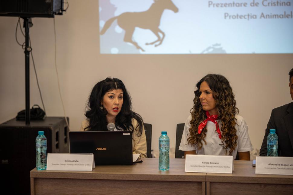 "Ora cu şi pentru animale" ar putea deveni materie opţională în şcolile din toată România. Autorităţile din Ilfov pregătesc documentele 976596