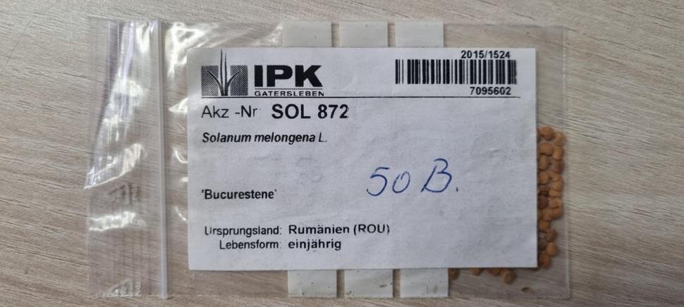 „Am dormit în frig ca să salvez semințele”: mărturia cutremurătoare a omului care ține vie grădina genetică a României 976559
