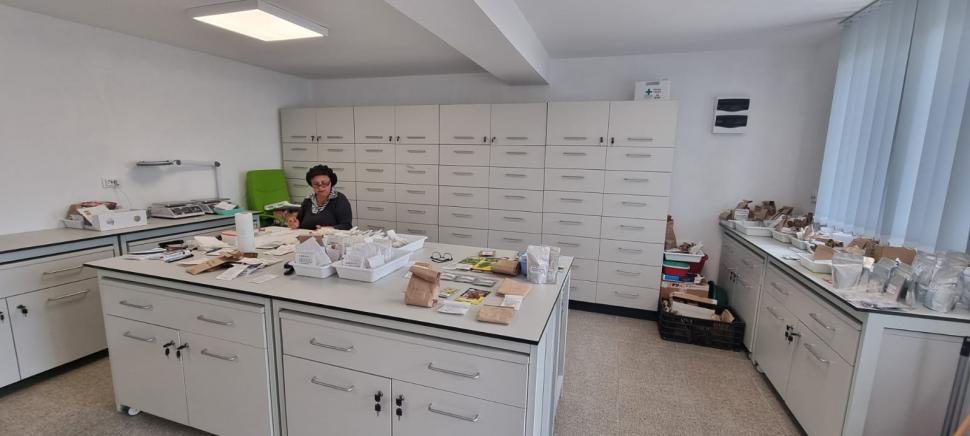 „Am dormit în frig ca să salvez semințele”: mărturia cutremurătoare a omului care ține vie grădina genetică a României 976561