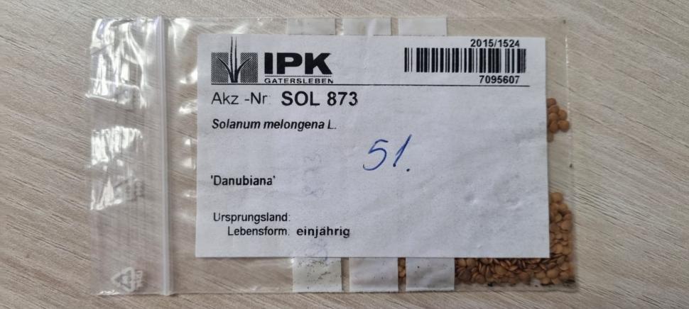 „Am dormit în frig ca să salvez semințele”: mărturia cutremurătoare a omului care ține vie grădina genetică a României 976570