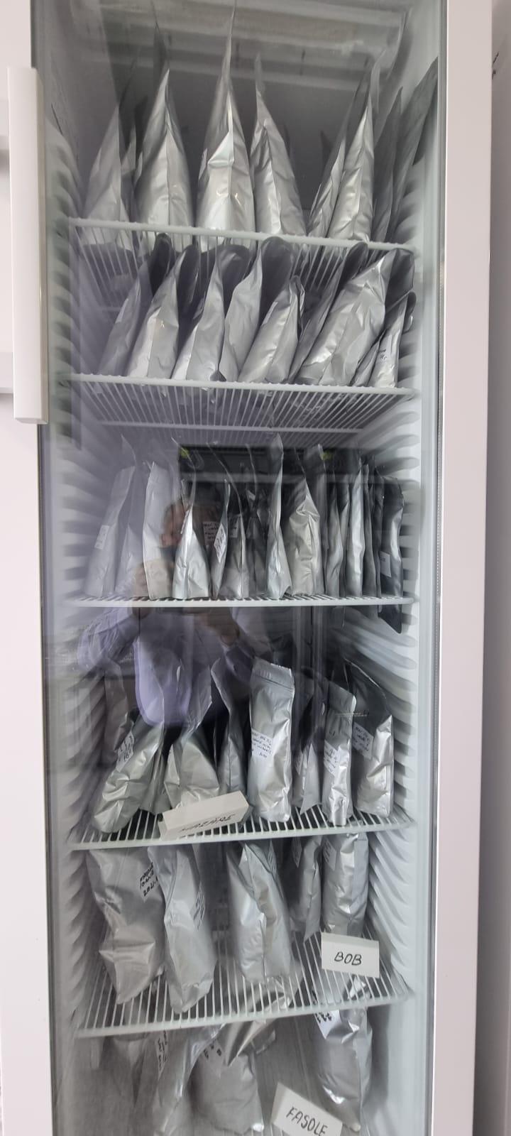 „Am dormit în frig ca să salvez semințele”: mărturia cutremurătoare a omului care ține vie grădina genetică a României 976573