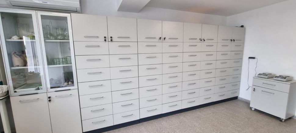 „Am dormit în frig ca să salvez semințele”: mărturia cutremurătoare a omului care ține vie grădina genetică a României 976574